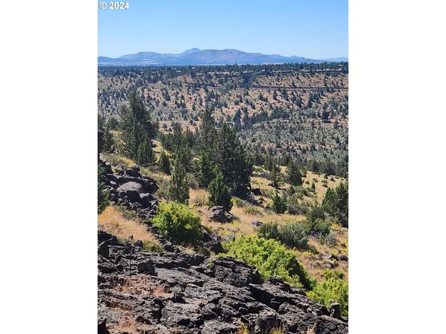 a view of swimming pool with chairs
