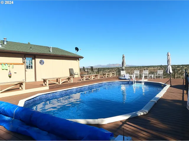 a view of a garden with a tree