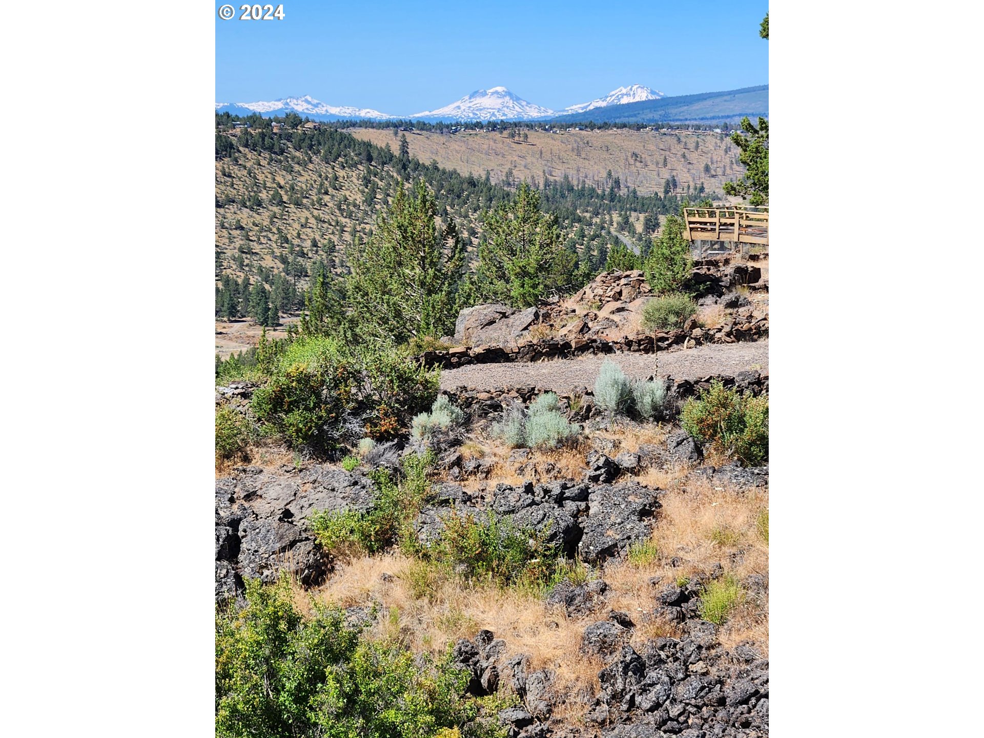 11175 Southwest Pixie Lane Culver, OR 97734 - Photo 23 of 33 a view of a garden with a tree