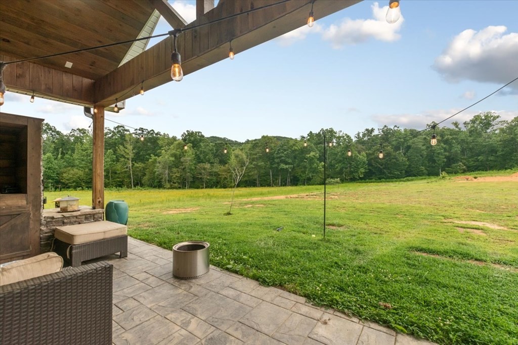 6565 Toestring Valley Road Spring City, TN 37381 - Photo 39 of 64 Gallery Image 39
