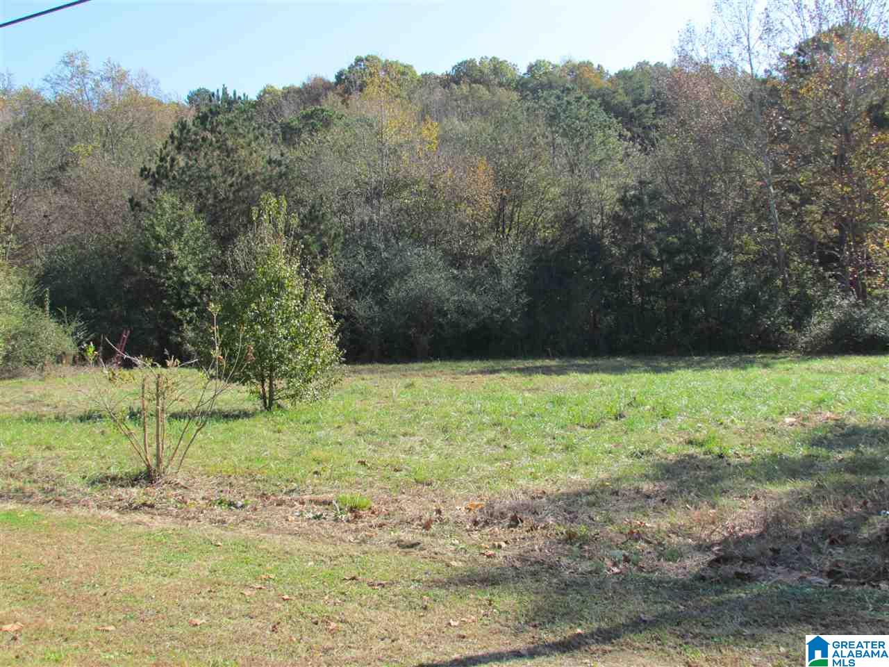 55 Jug Hollow Road Piedmont, AL 36272 - Photo 2 of 19