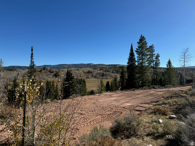 1663 Lancer Lane Evanston, UT 82930 - Photo 68 of 101 Cleared building site with a dirt access road, surrounded by mature conifer trees and distant mountains