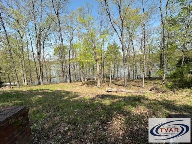 844 Stirling Road Camden, TN 38320 - Photo 11 of 29 a view of outdoor space with trees
