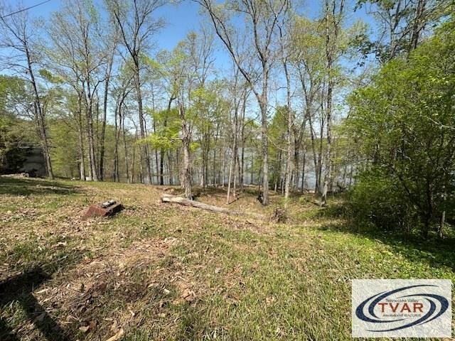 844 Stirling Road Camden, TN 38320 - Photo 12 of 29 a view of outdoor space with trees