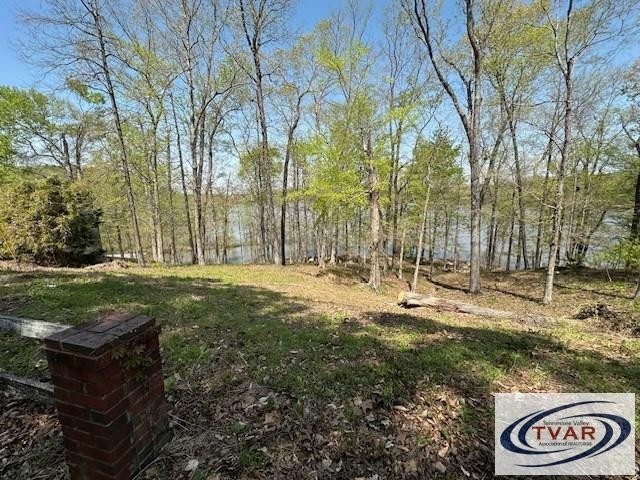 844 Stirling Road Camden, TN 38320 - Photo 14 of 29 a backyard of a house with lots of green space