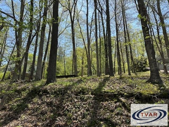 844 Stirling Road Camden, TN 38320 - Photo 15 of 29 a view of outdoor space with lots of trees
