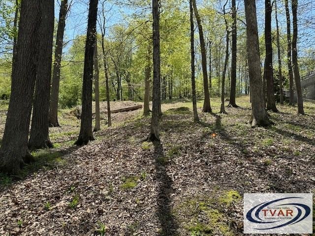 844 Stirling Road Camden, TN 38320 - Photo 17 of 29 a backyard of a house with lots of green space