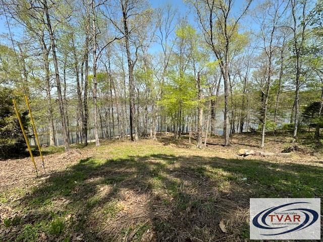 844 Stirling Road Camden, TN 38320 - Photo 18 of 29 a view of outdoor space with trees