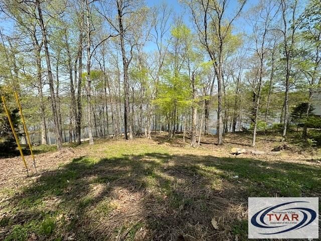 844 Stirling Road Camden, TN 38320 - Photo 19 of 29 a view of outdoor space with trees