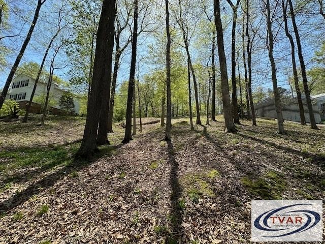 844 Stirling Road Camden, TN 38320 - Photo 20 of 29 a backyard of a house with lots of green space