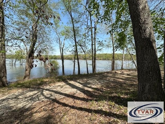844 Stirling Road Camden, TN 38320 - Photo 22 of 29 a view of a backyard of the house