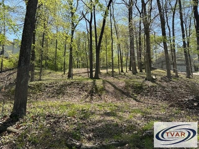 844 Stirling Road Camden, TN 38320 - Photo 23 of 29 a view of outdoor space with trees