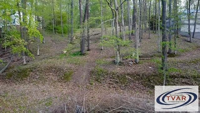 844 Stirling Road Camden, TN 38320 - Photo 6 of 29 a view of a forest filled with trees