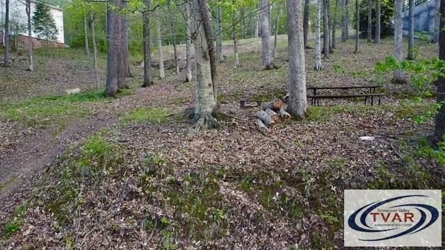 844 Stirling Road Camden, TN 38320 - Photo 7 of 29 a view of a sink in the forest