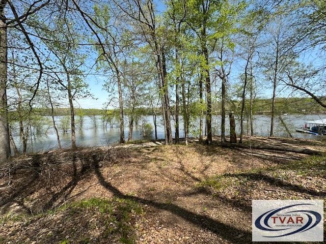 844 Stirling Road Camden, TN 38320 - Photo 8 of 29 a view of a backyard of the house