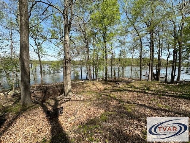 844 Stirling Road Camden, TN 38320 - Photo 9 of 29 a view of a yard with large trees