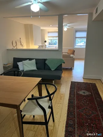 a living room with furniture and a rug