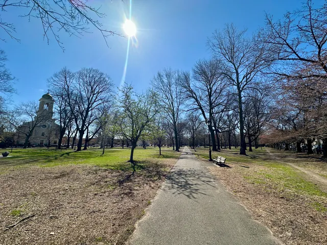 a view of a park with lots of trees