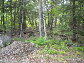 93-1 Sleeper Road Hillsborough, NH 03244 - Photo 2 of 3 Gallery Image 2