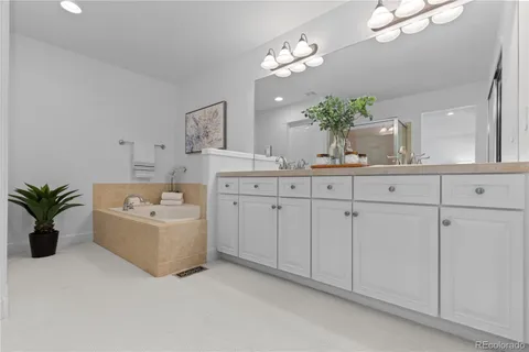 a bathroom with a sink a potted plant and a mirror