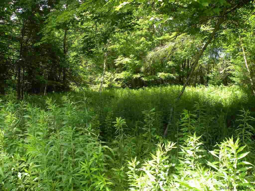 22 State Route Stephentown, NY 12168 - Photo 3 of 8 Photo 3