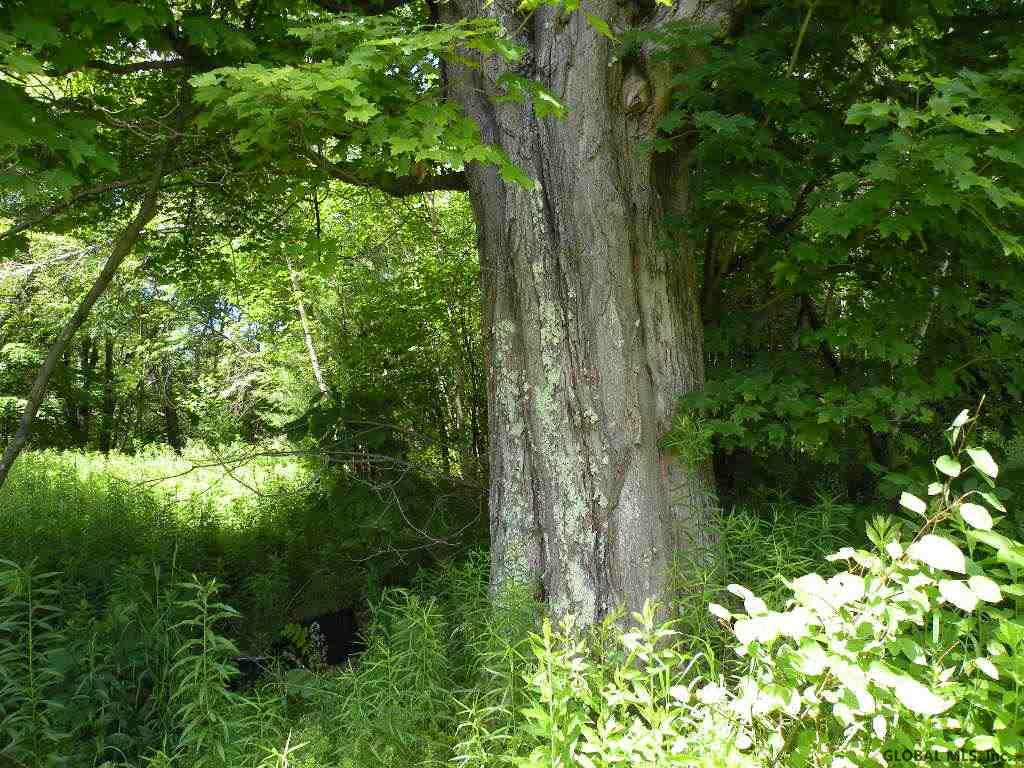 22 State Route Stephentown, NY 12168 - Photo 4 of 8 Photo 4