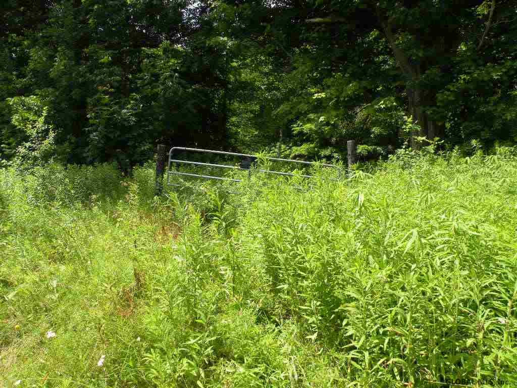22 State Route Stephentown, NY 12168 - Photo 5 of 8 Photo 5