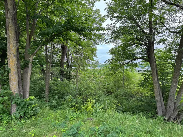 $139,900 | X Leaf River Road, Ottertail, MN 56571