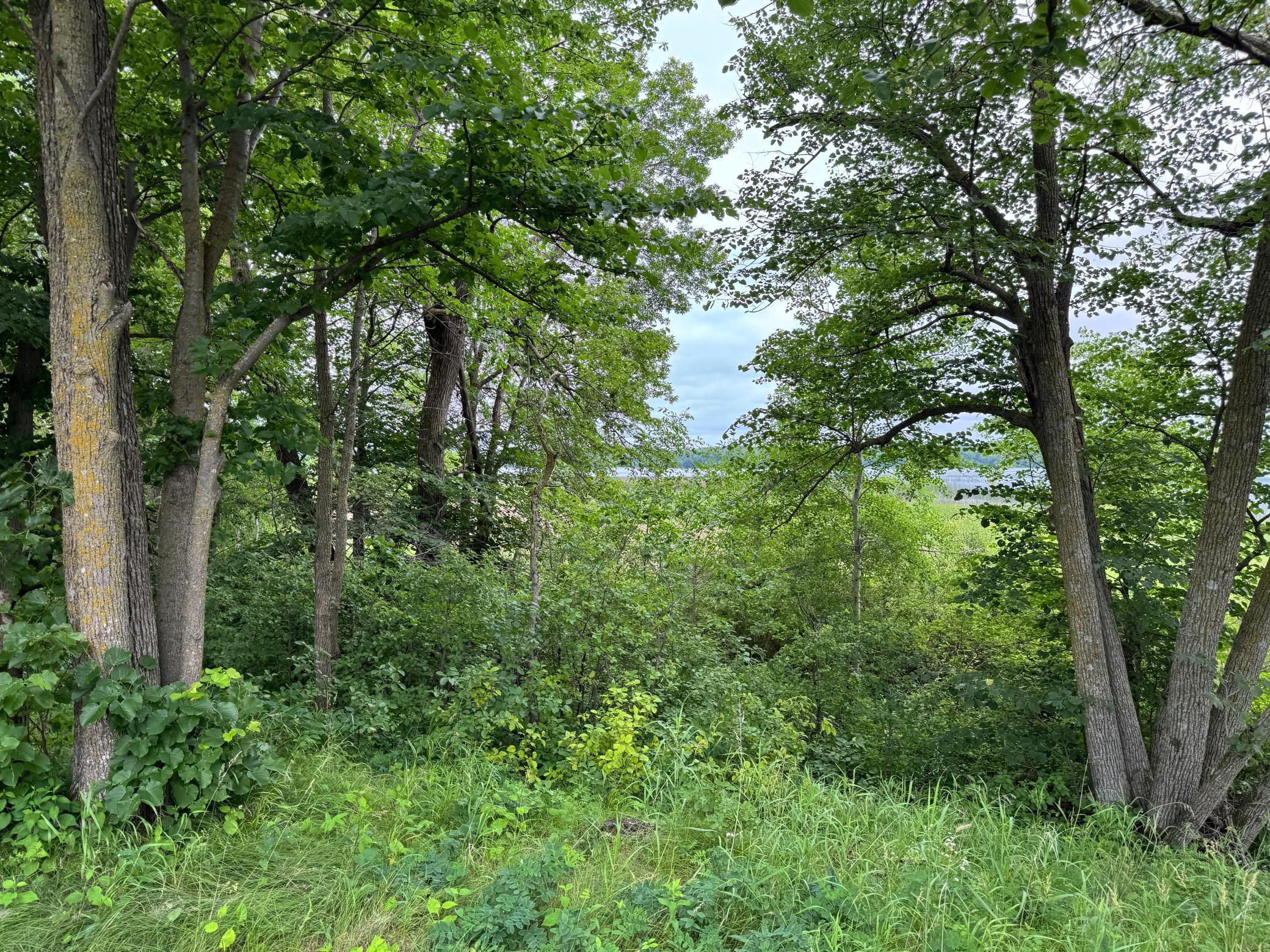 X Leaf River Road Ottertail, MN 56571 - Photo 26 of 29