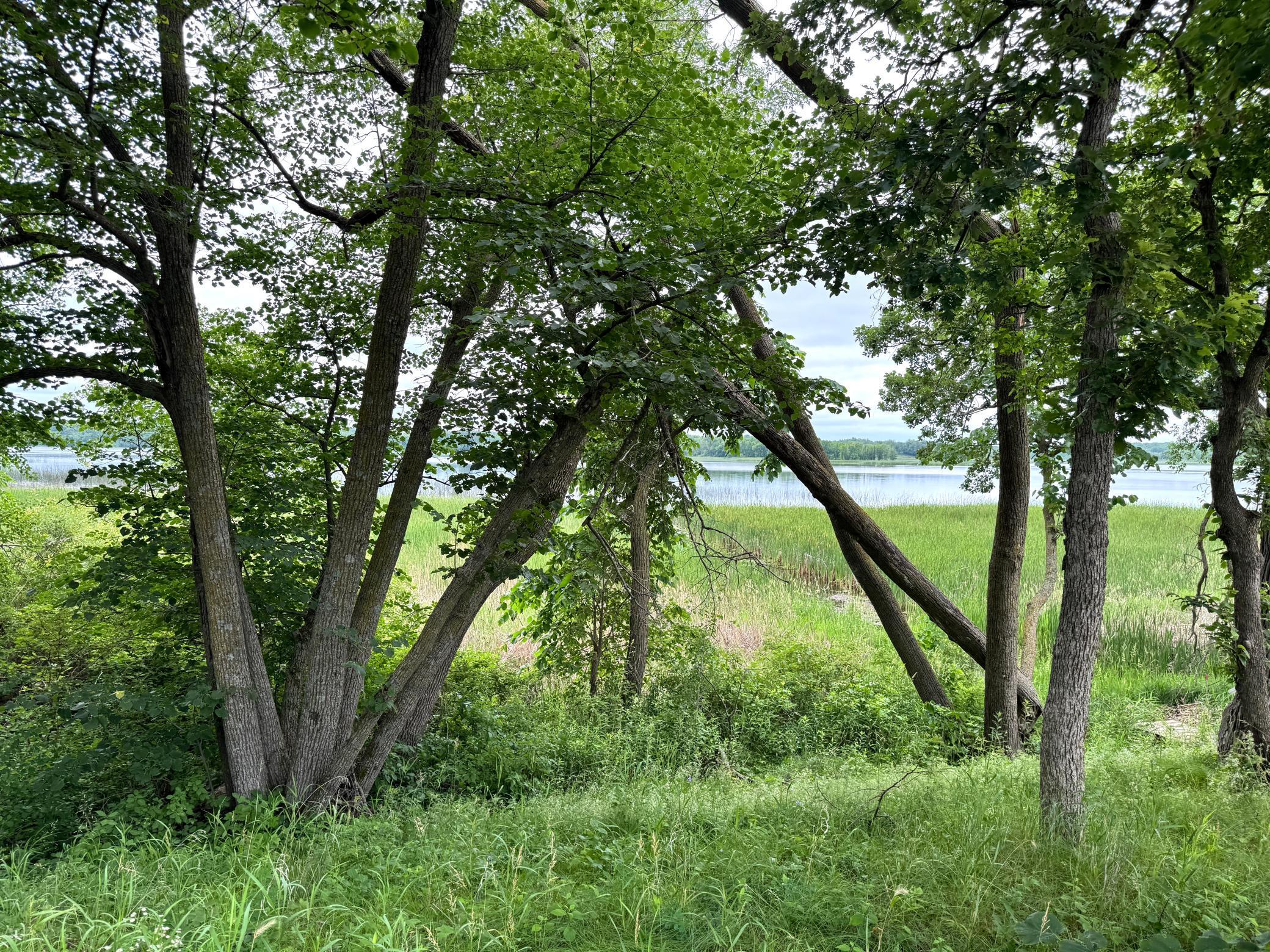 X Leaf River Road Ottertail, MN 56571 - Photo 27 of 29