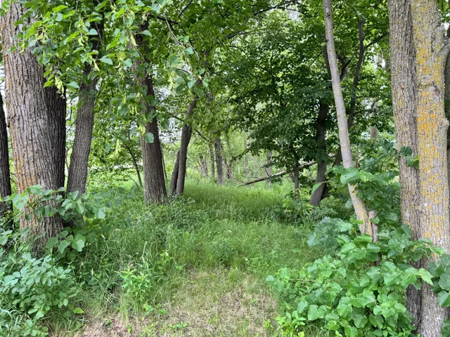 $139,900 | X Leaf River Road, Ottertail, MN 56571