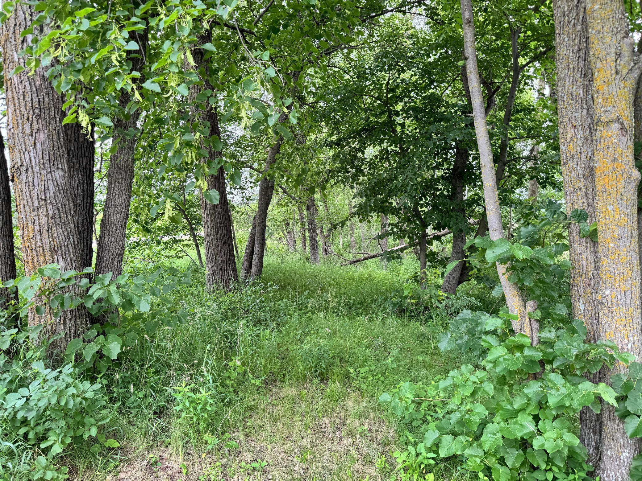 X Leaf River Road Ottertail, MN 56571 - Photo 28 of 29