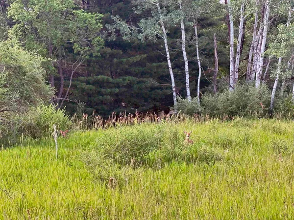 $27,500 | L483-484 Summit Point, La Valle, WI 53941