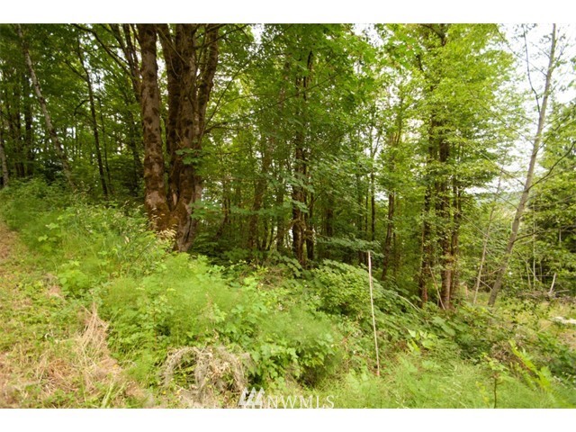 130 East Evergreen Road Belfair, WA 98528 - Photo 3 of 6 Gallery Image 3