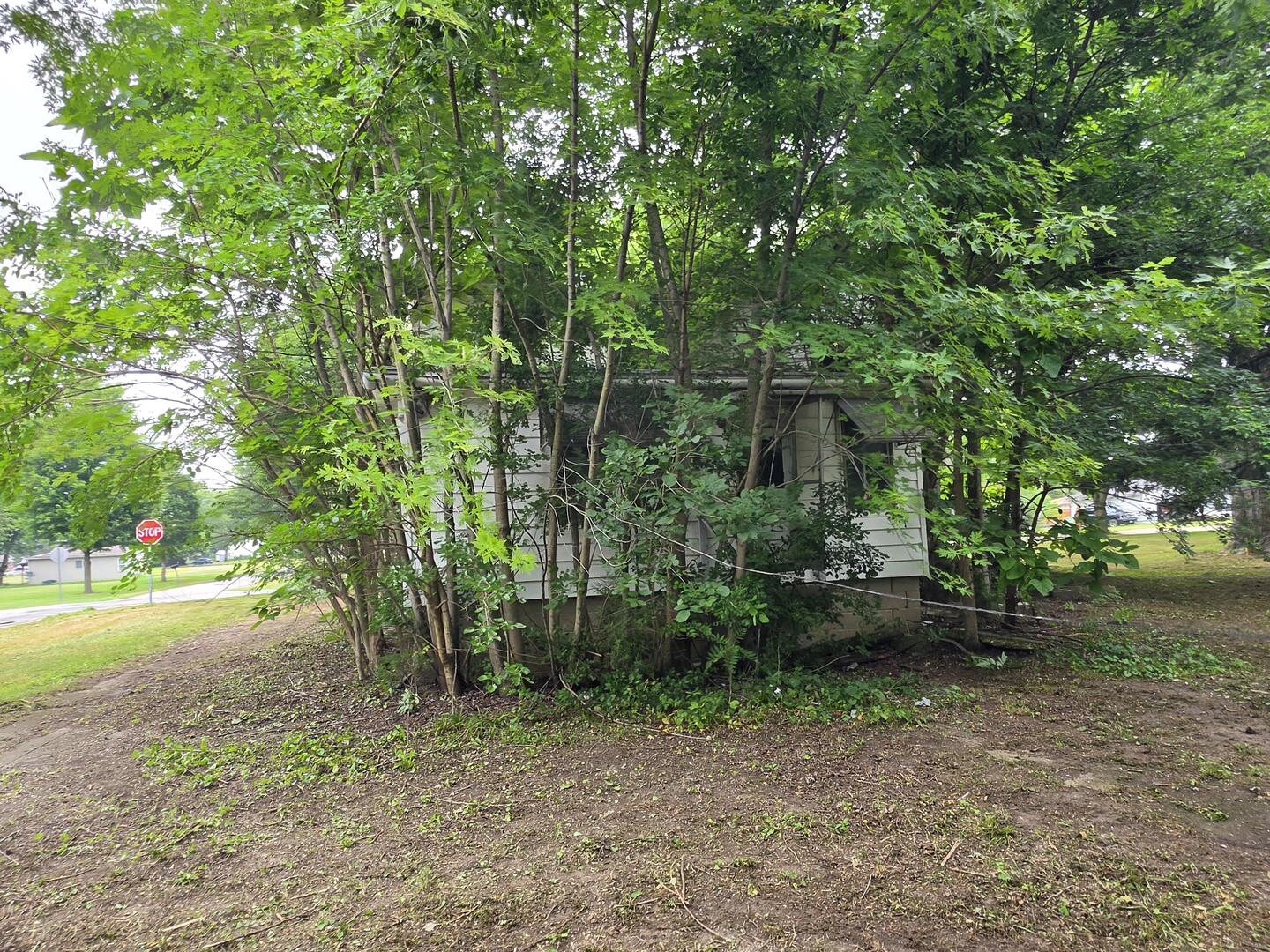 202 South 1st Street Chatsworth, IL 60921 - Photo 8 of 17 Gallery Image 8