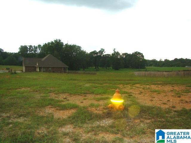 0 Bella Ridge, Unit 111 Lincoln, AL 35096 - Photo 4 of 12