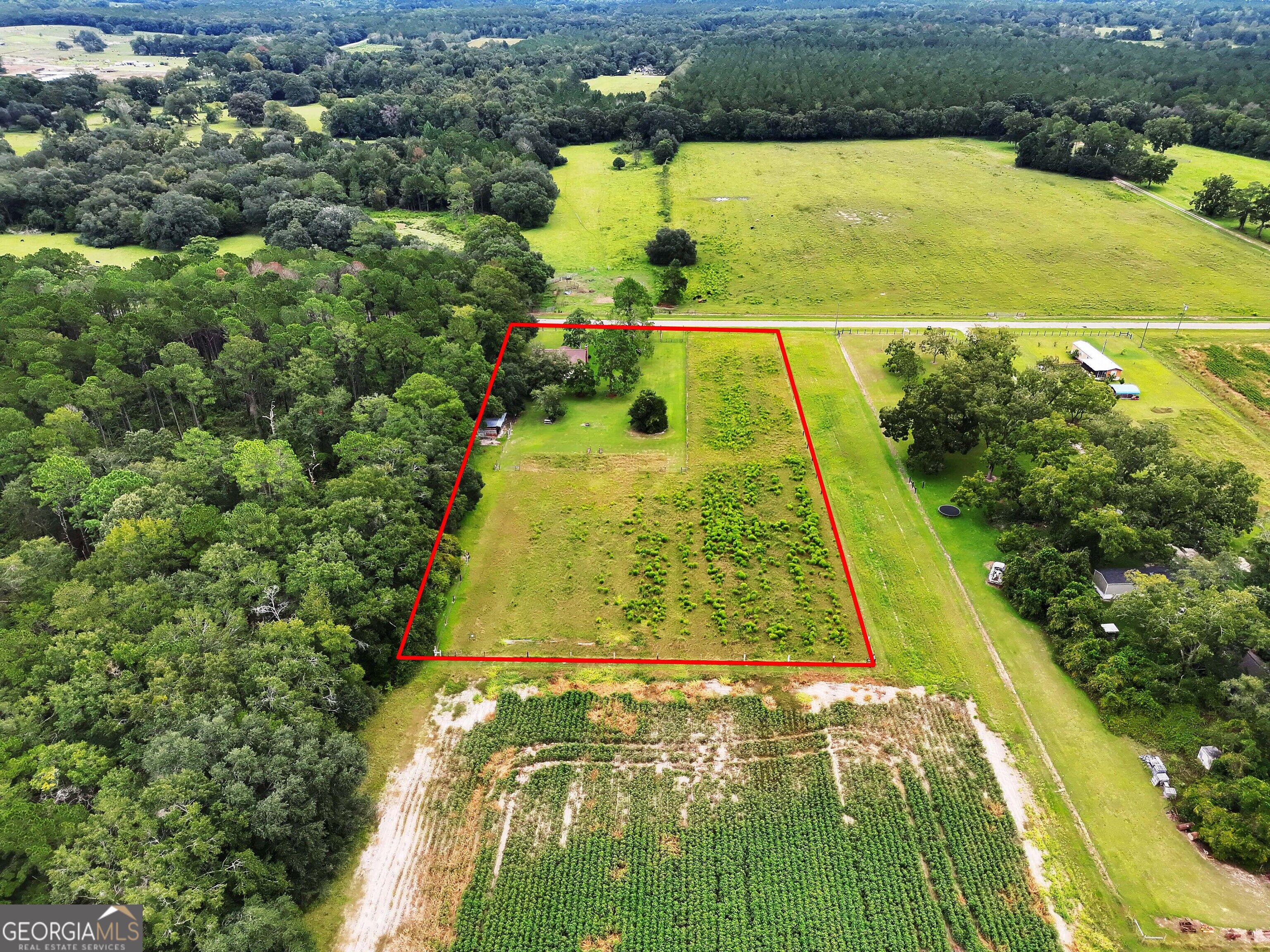 677 Palmer Road Pelham, GA 31779 - Photo 37 of 38 Gallery Image 37