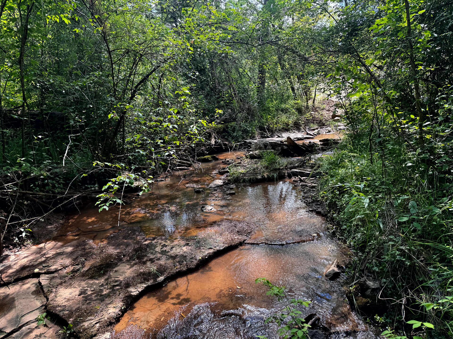 0 Barr Hollow Road, Unit OHIO RIVER RETREAT TRACT 3) Reedsville, OH 45772 - Photo 7 of 29 CT-7