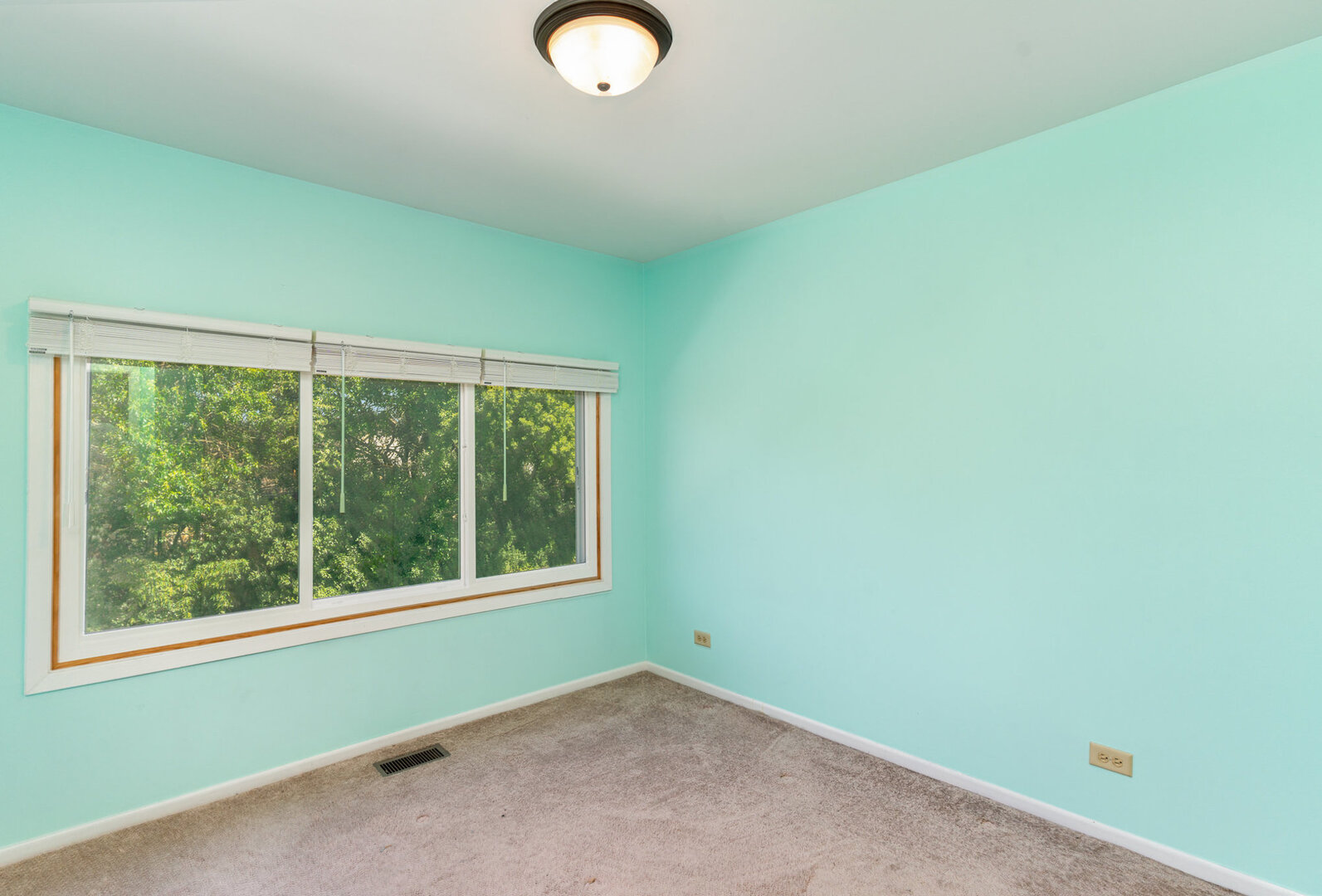 392 Park Ridge Lane, Unit B Aurora, IL 60504 - Photo 6 of 15 Gallery Image 6