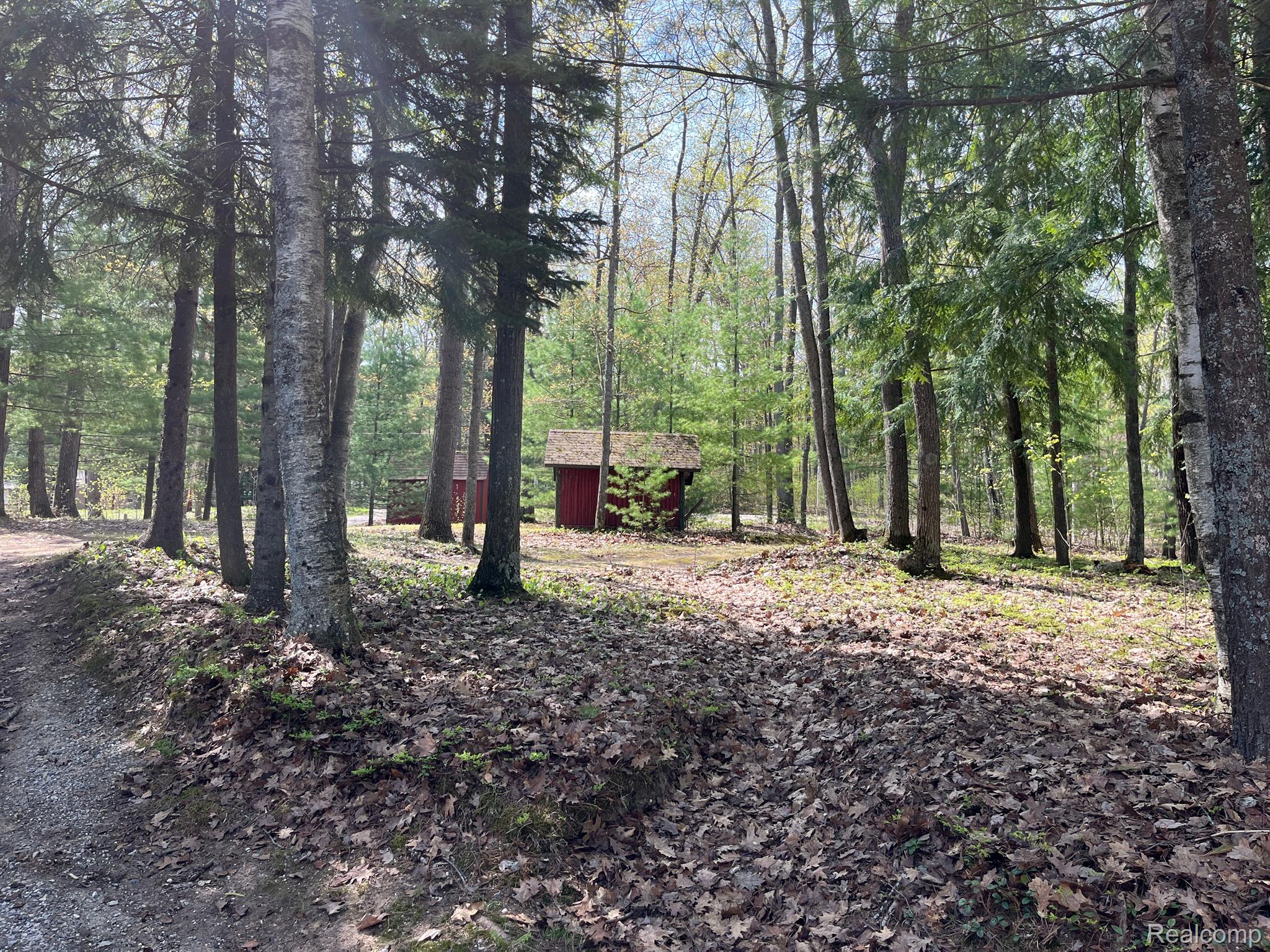 306 Dyer Road Rose City, MI 48654 - Photo 16 of 70 Gallery Image 16