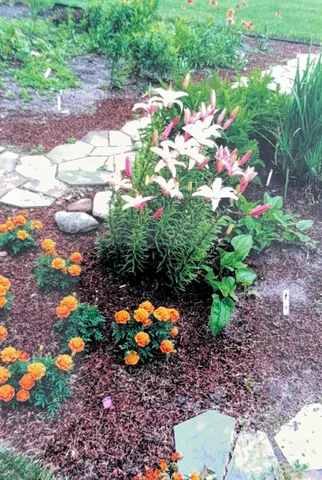 $425,000 | 1626 Melvina Lane Southwest, Alexandria, MN 56308