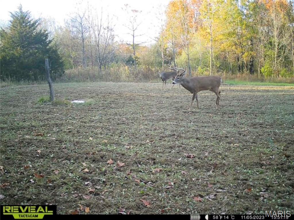 2 Whitetail Rdg Road Eolia, MO 63344 - Photo 3 of 98