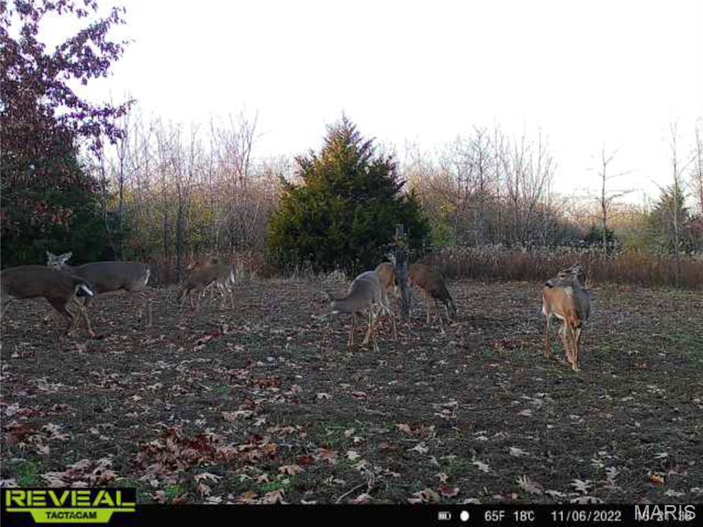 2 Whitetail Rdg Road Eolia, MO 63344 - Photo 47 of 98