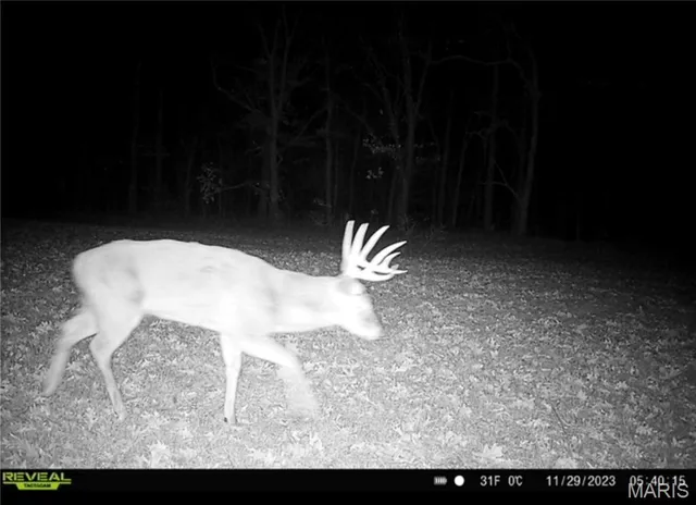 $830,000 | 2 Whitetail Rdg Road, Eolia, MO 63344