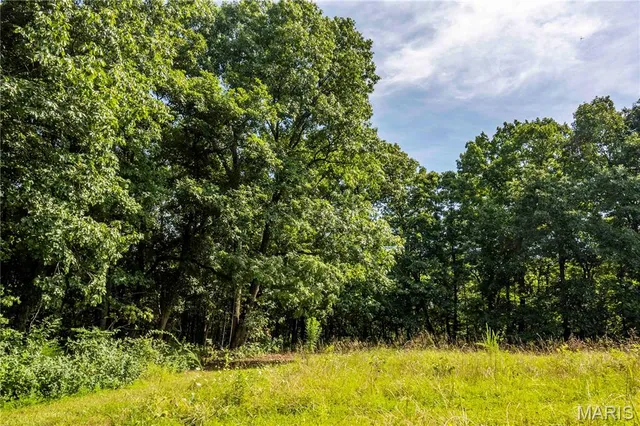 $830,000 | 2 Whitetail Rdg Road, Eolia, MO 63344