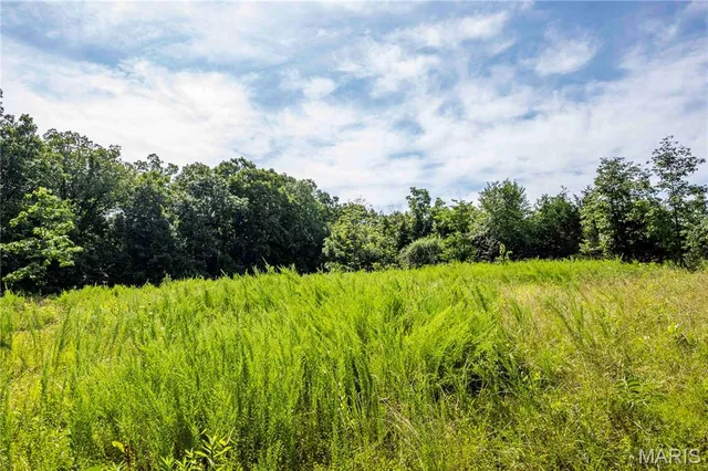 $830,000 | 2 Whitetail Rdg Road, Eolia, MO 63344