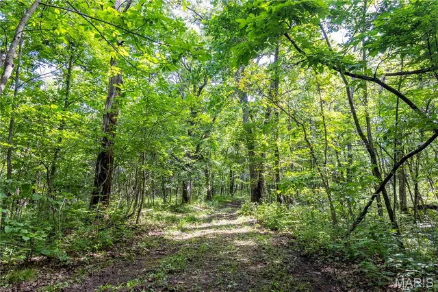 $830,000 | 2 Whitetail Rdg Road, Eolia, MO 63344