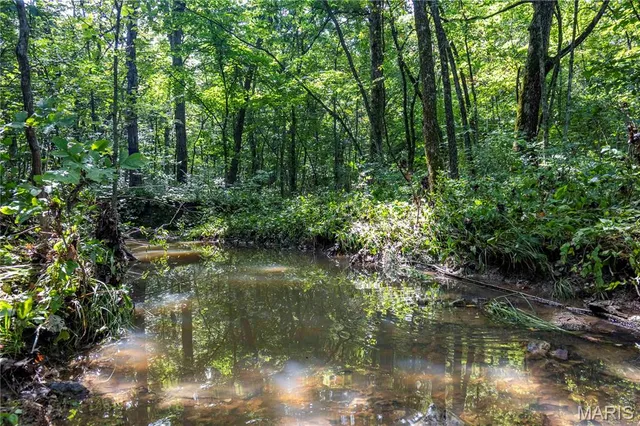 $830,000 | 2 Whitetail Rdg Road, Eolia, MO 63344