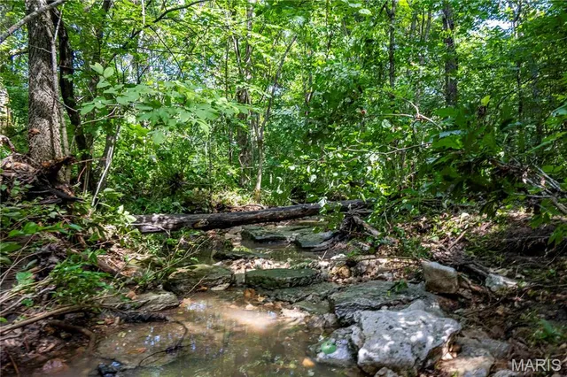 $830,000 | 2 Whitetail Rdg Road, Eolia, MO 63344