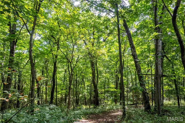 $830,000 | 2 Whitetail Rdg Road, Eolia, MO 63344